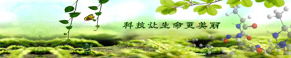 幻燈片一